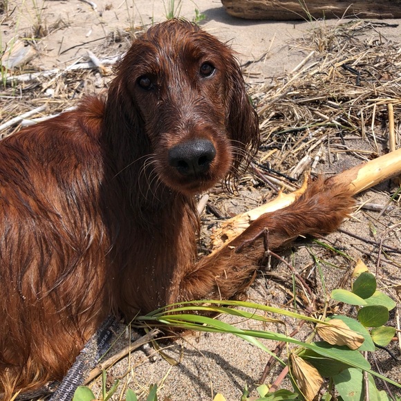 Meet the Posher Other - Meet your Posher, Nicole